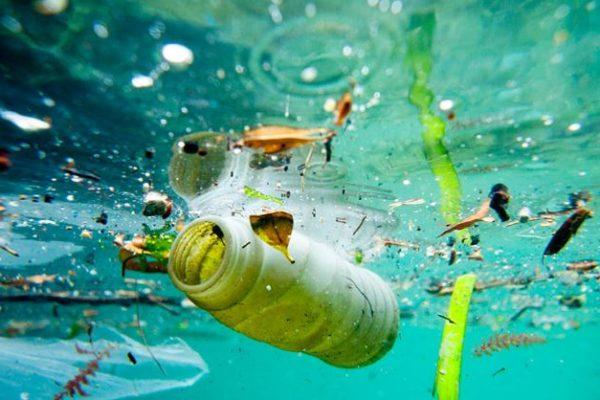 Marine Pollution: Causes, Effects & Prevention