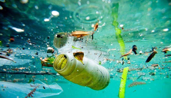 Marine Pollution: Causes, Effects & Prevention